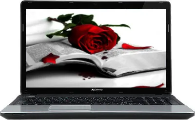 Acer Gateway NE56R Laptop (2nd Gen Ci3/ 4GB/ 320GB/ Win8) (NX.Y14SI.012)
