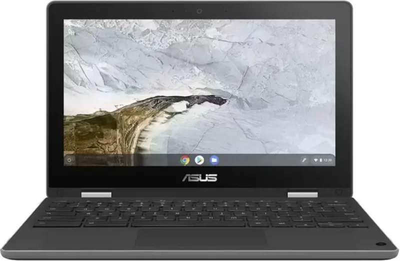 Asus Chromebook Flip C214MA-BU0452 Laptop (Celeron N4020/ 4GB/ 64GB eMMC/ Chrome OS)