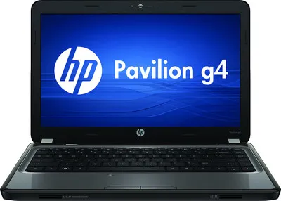 HP Pavilion G4-1315AU Laptop (APU Dual Core A4/ 4GB/ 500GB/ DOS)
