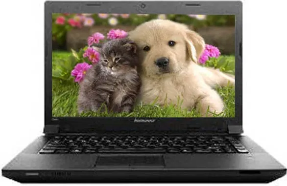 Lenovo B490 Laptop 59-349113 (Intel Core i3/2GB /500GB/ DOS)
