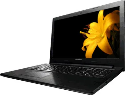 Lenovo Essential G500 (59-370339) Laptop (3rd Gen Ci5/ 4GB/ 500GB/ DOS/ 2GB Graph)