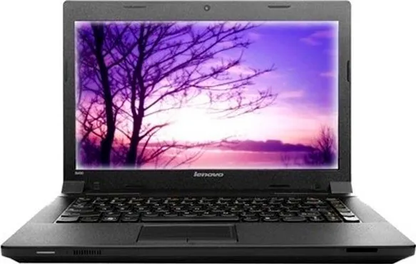 Lenovo IdeaPad B490 (59-369872) Laptop (2nd Generation Intel Core i3/2GB /500GB/DOS)