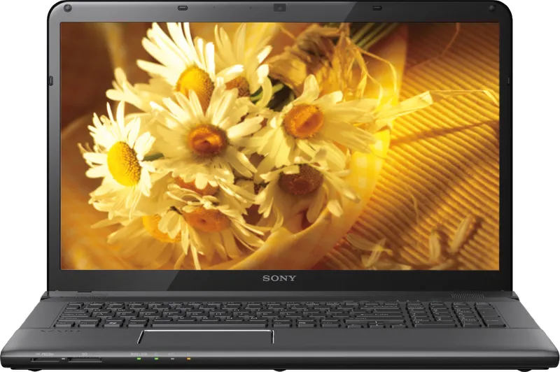 Sony VAIO E15131 Laptop (2nd Gen PDC/ 2GB/ 320GB/ Win8)