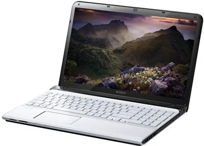 Sony VAIO SVE15133CNB Laptop (3rd Gen Ci3/ 2GB/ 500GB/ Win8)