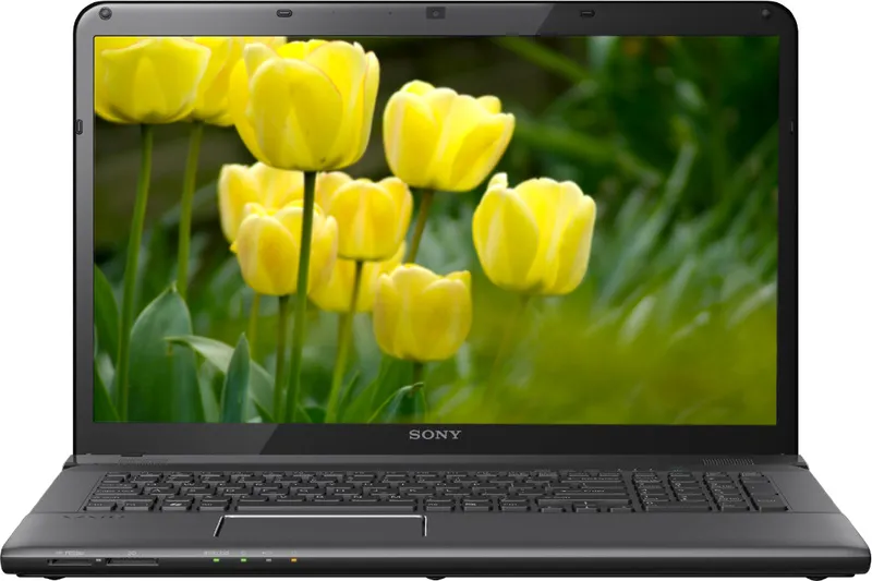 Sony VAIO SVE1513BYNB Laptop (3rd Gen Ci3/ 2GB/ 500GB/ Red Flag Linux/ 1GB Graph)