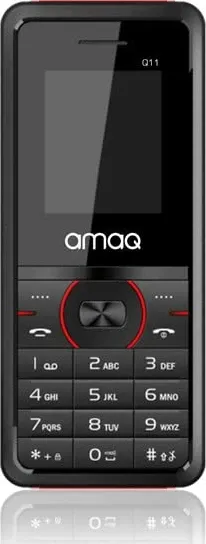 AMAQ Q11
