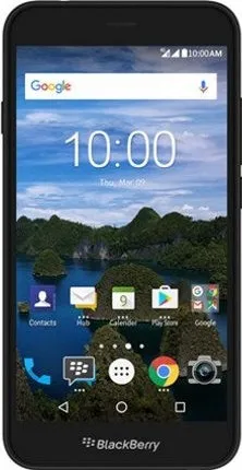 Blackberry Aurora