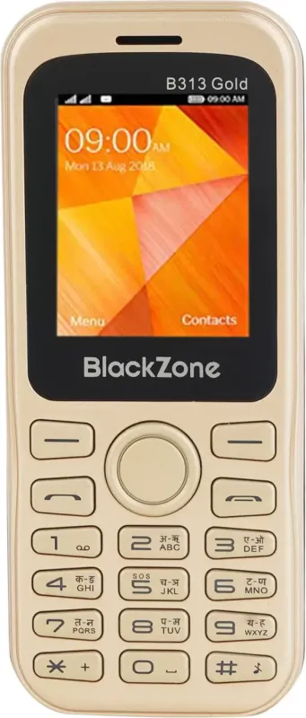BlackZone B313 Gold