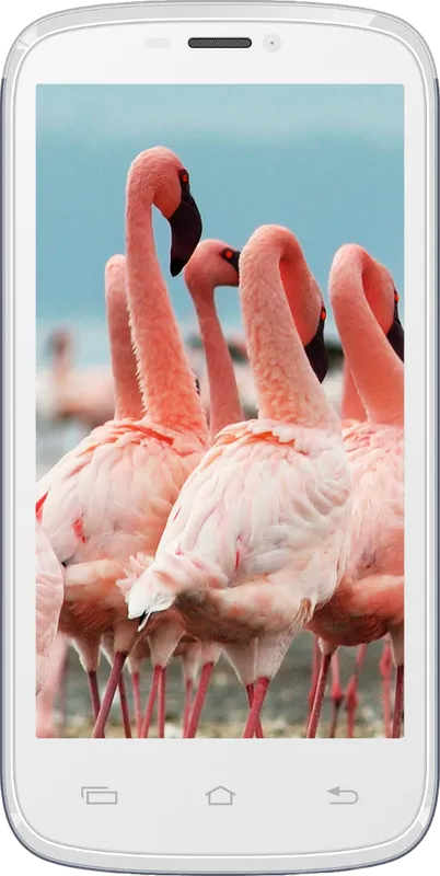 Celkon Signature HD A119