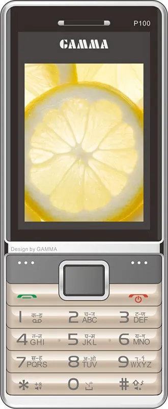 Gamma P100