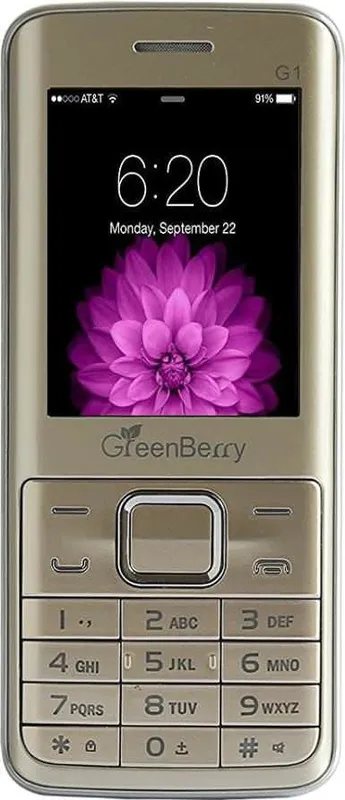 GreenBerry G1