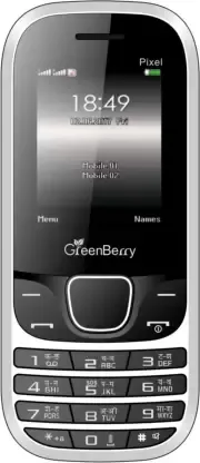 GreenBerry Pixel