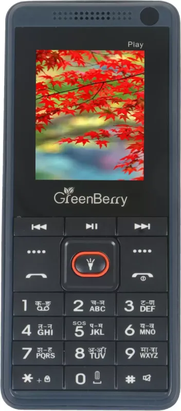 GreenBerry Play