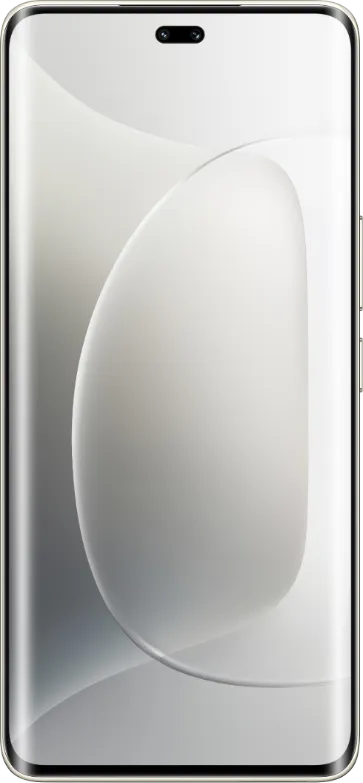 Honor 300 Pro