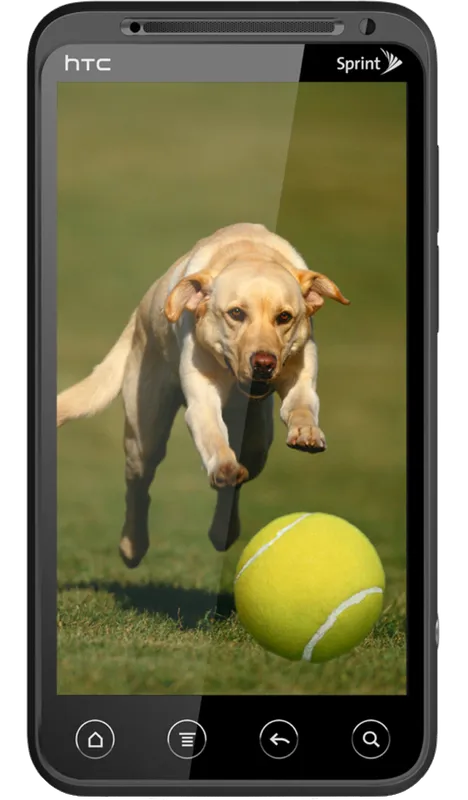 HTC EVO 3D