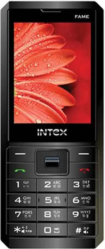 Intex Aqua Fame