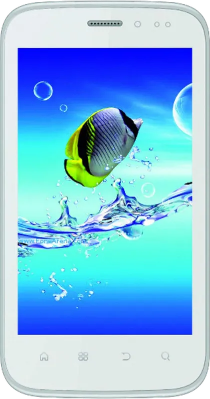 Intex Aqua Flash