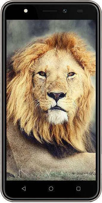 Intex Aqua Lions T1