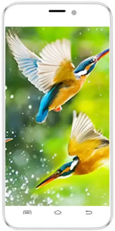Intex Aqua Q8