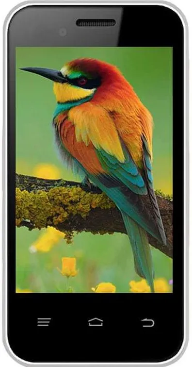 Intex Aqua V5