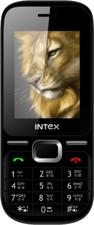 Intex Leo