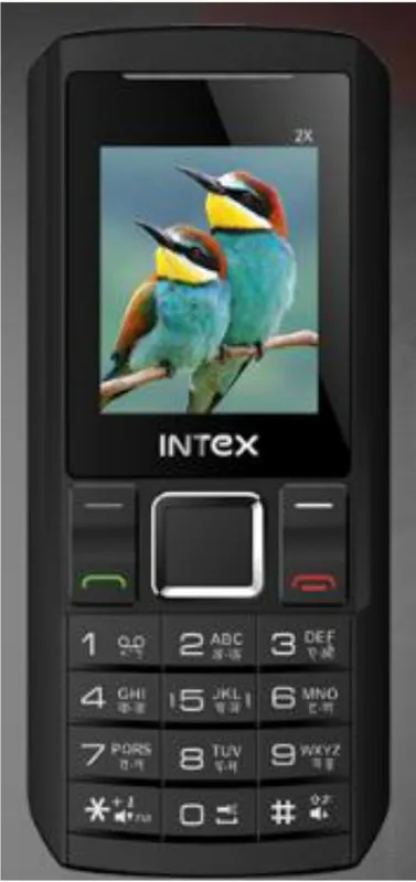 Intex Nano 2X