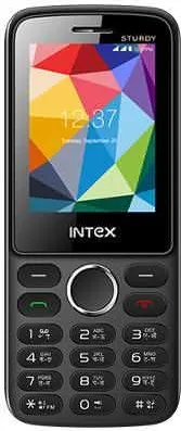 Intex Strudy