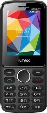 Intex Sturdy