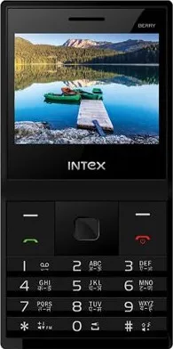 Intex Turbo Berry