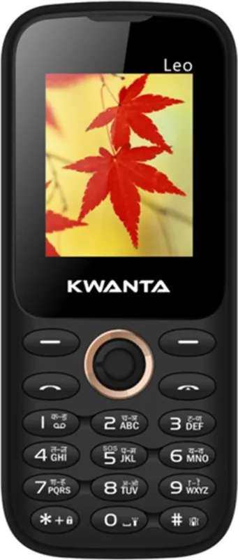 Kwanta Leo