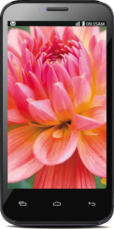 Lava Iris 505