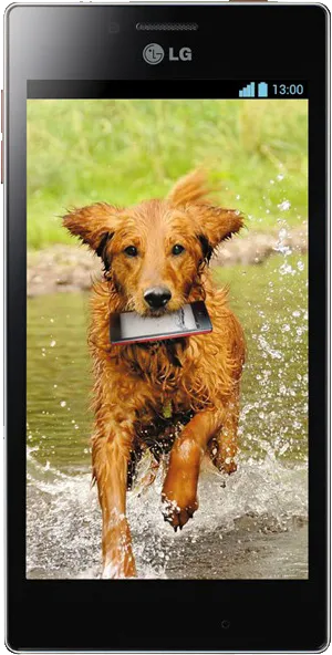 LG Optimus GJ E975W