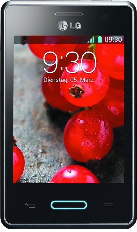 LG Optimus L3 II E425