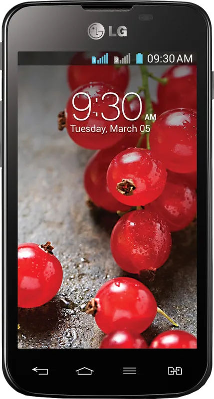 LG Optimus L5 II Dual E455