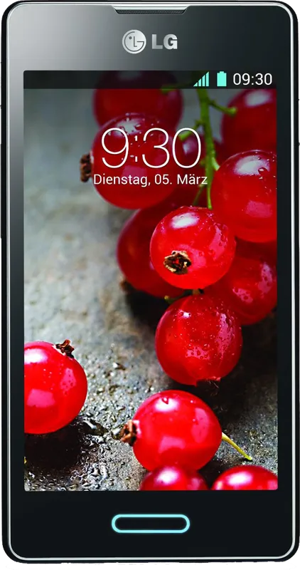 LG Optimus L5 II E450