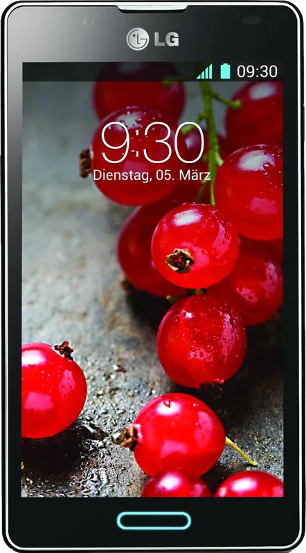 LG Optimus L7 II P713
