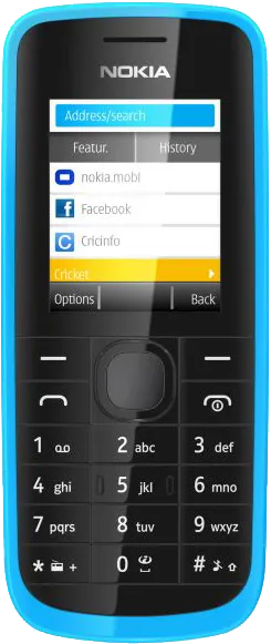 Nokia 113