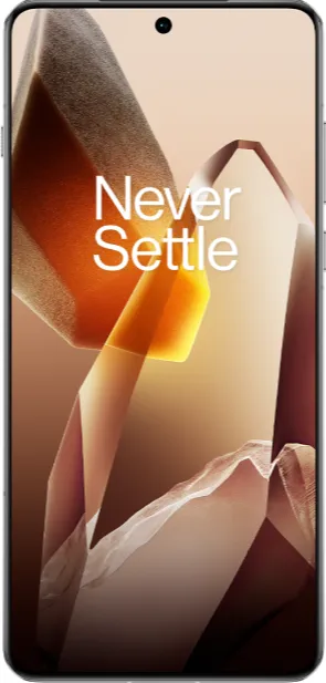 OnePlus 13