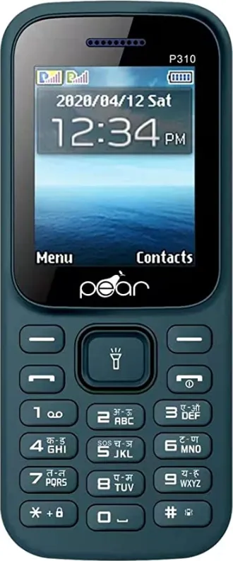 Pear P310