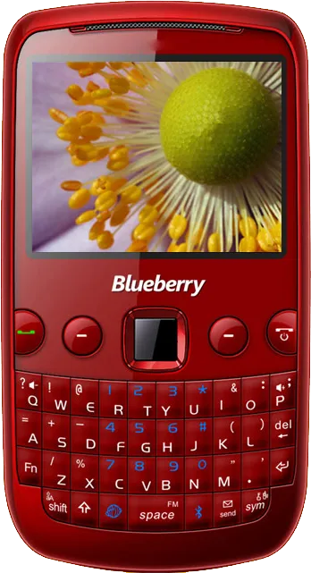 Spice Blueberry Mini QT58