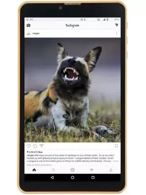DOMO Slate S10